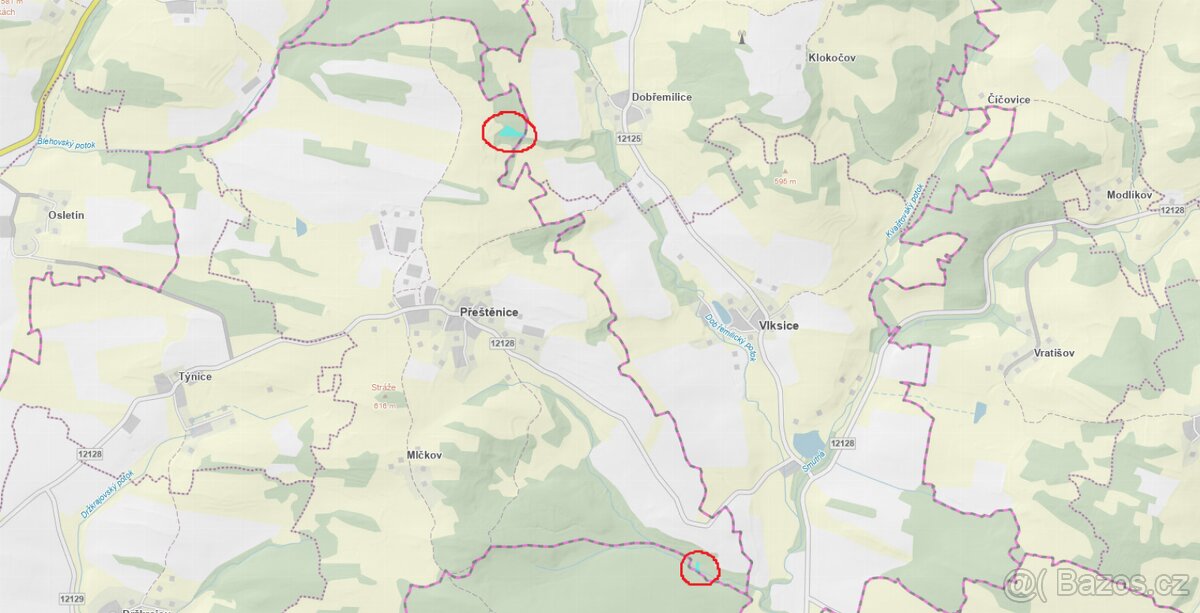 Prodám lesní pozemky v k.ú. Přeštěnice - 14
