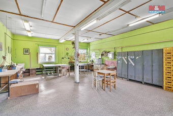 Prodej rodinného domu, 360 m², Vysoké Veselí - 14