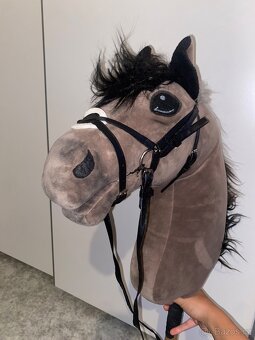 Hobby horse - 14