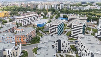 Prodej bytu 2+kk 45 m2 Olgy Havlové, Praha - Žižkov - 14