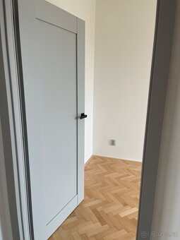 Pronajem bytu 3+1 - 14