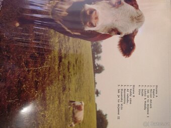 LP pop rock - 14