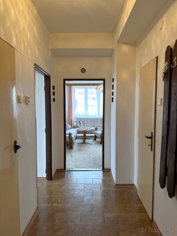 K prodeji byt před rekonstrukci 2+1 o vel. 58 m² v Chebu - 14