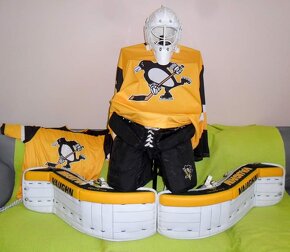 NHL Betóny VAUGHN PITTSBURGH PENGUINS - 14