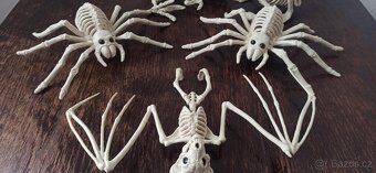 Halloween: Dámský kostým + vybavení - 14