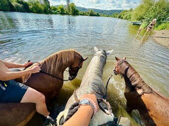 Hodná osmiletá ponička - 14