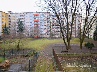 Pronájem bytu 2+kk, Tučkova, Veveří, 17500 Kč/měs, 45 m2 - 14