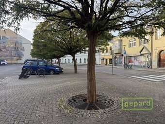 Pronájem obchodního prostoru - 14