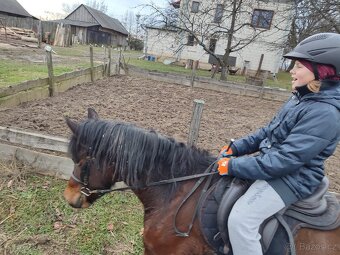 Huculská klisna, hucul, Tobiano, pony, malý kůň - 14