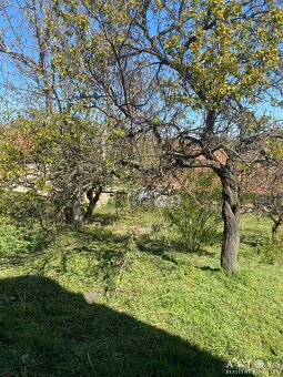 Prodej pozemku pro bydlení, CP 588 m2 - Bohutice, okres Znoj - 14
