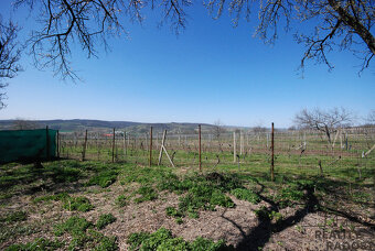 Prodej Rd 3+1 se zahradou, Kobylí - 14