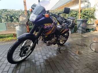 Suzuki Dr 650 RSE - 14