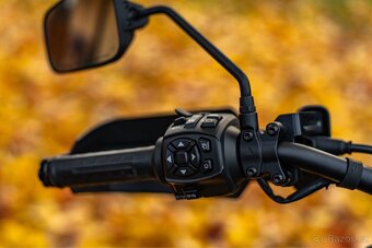 Harley Davidson PAN AMERICA 1250 SPECIAL - 14