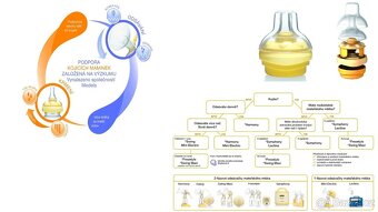Elektrická odsávačka Medela Swing 2 + Calma systém - 14