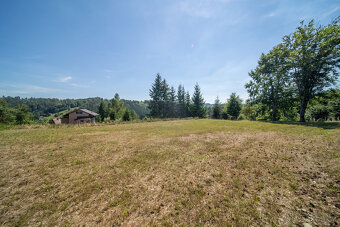 Prodej, pozemek k rekreaci, 829 m2, Zábřeh - Dolní Bušínov - 14