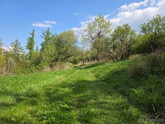 🌿 PRODEJ ZAHRADY – Újezdec u Osvětiman - 14