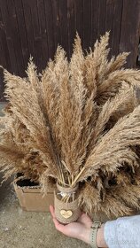 Svatební dekorace - přírodní styl - 14