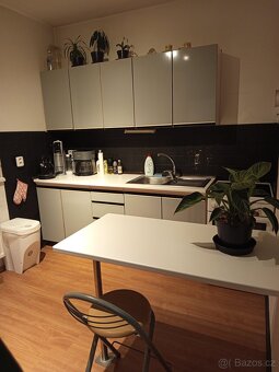 Pronájem bytu - 14