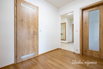 Pronájem bytu 4+kk, Hrašeho, Čimice, 117 m2 - 14