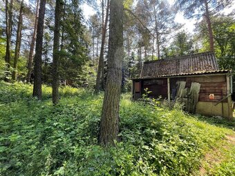 Prodej chaty 40 m², pozemek 300 m² Skuhrov - Hodyně - 14