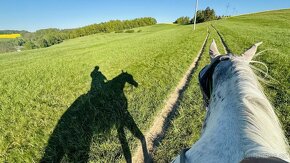 Trekové pastevní ustájení exit34 D1 - 14