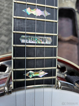 Parohaté elitní banjo Průcha 1990...Staghorn - 14