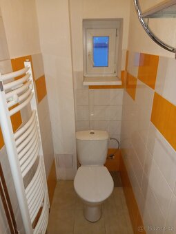 Pronajmu BYT-garsonku Sedlčany - 14