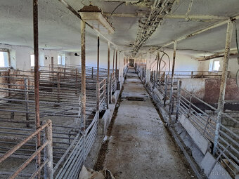 hala 500m2, bývalý prasečák + pozemek 2500m2 - 14
