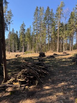 Prodám pozemky v k.ú. Horní Bolíkov Studená, okres Jindřichů - 14