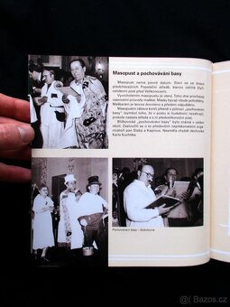 Blížkovice ( rozfoceno 16 snímků ) - 14