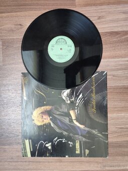 Lp-gramofonove desky - 14