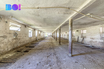 Prodej zemědělského areálu 17 219 m², Sázava - 14