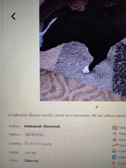 Pozor Pitbulové, kteří jsou útoční - 14