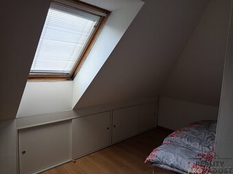 Pronájem bytu Praha Podolí - 14
