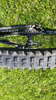 Canyon Strive CF 7.0 2019 - 14