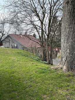 RD 3+1 Křižanovice, CP 269 m2, zahrádka - 14