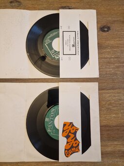 12x gramofonová deska - 14