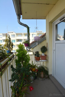 Prodej cihlového bytu 2+kk 46 m² Švehlova, Šlapanice - 14