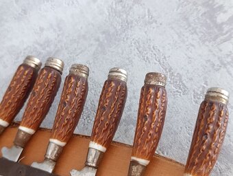 6 x malé nožíky v řadě na dřevéné podložce z břízy. - 14
