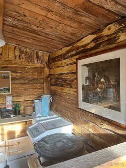 Nabízím ustájení 24/7 v Karviná - Louky - 14