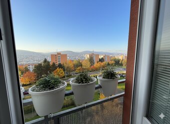 Pronájem nadstandardního bytu 3+kk s terasou a výhledem na Z - 14