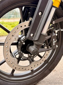 Triumph Scrambler 400 X - 14