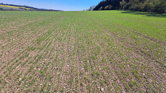 DEMO secí stroj 6 m + přihnojování + Section Control 1000 ha - 14