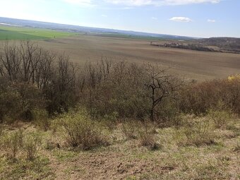 Pozemek k pronájmu Jeviněves - 14