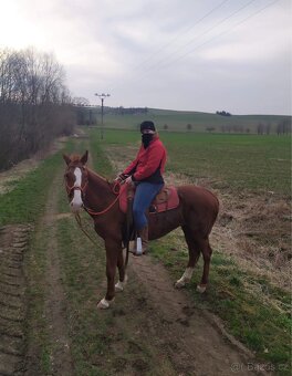 Westernové sedlo - 14