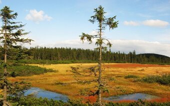 APARTMÁN V KRKONOŠÍCH /4os. - 14