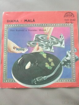 LP desky vinyl malé - 14