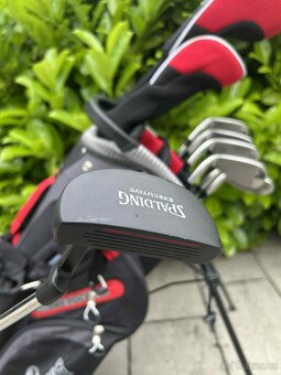 Prodám nové pánské golfové hole Spalding - 14