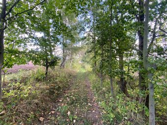 Lesní pozemek a pozemek ostatní plocha Horní Lánov - 14