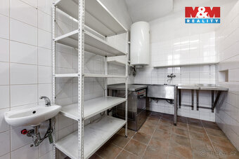 Prodej rodinného domu 500 m², Mlečice - 14